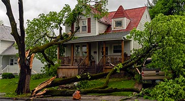 Trees that have fallen over onto an owner's property after a storm