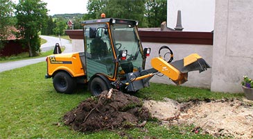 Removing a tree stump